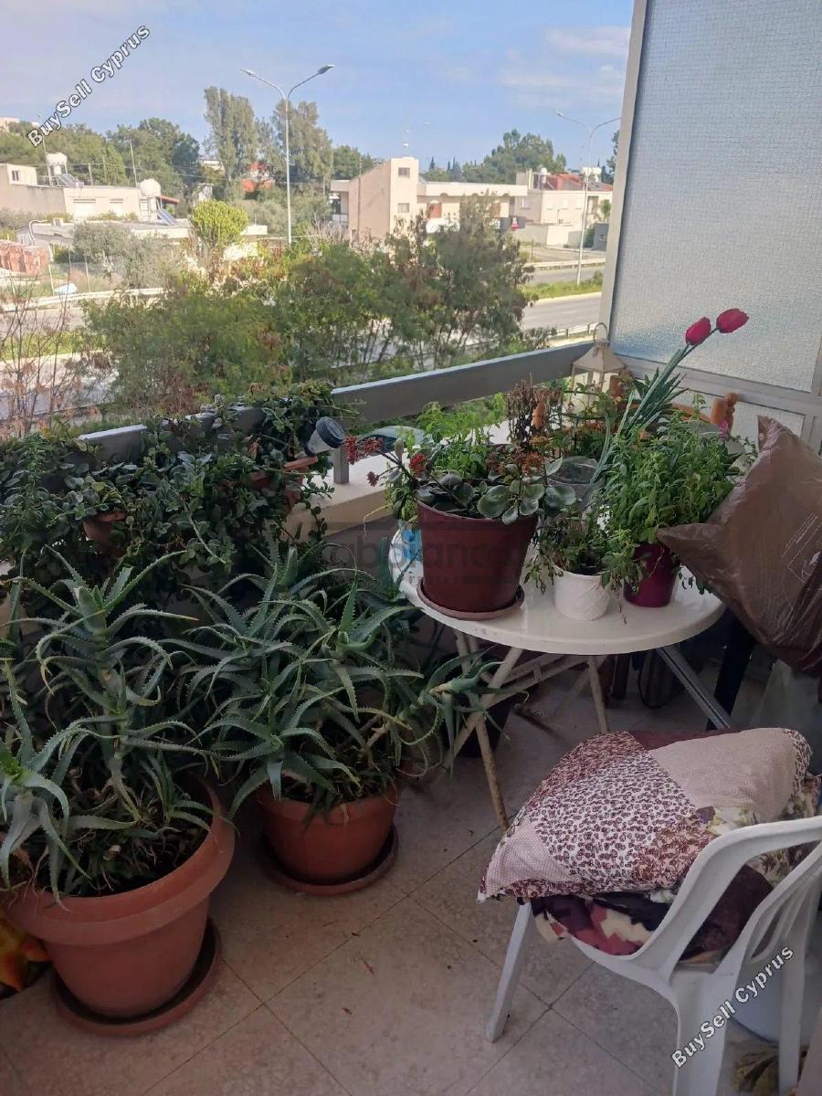 3 bedroom apartment for sale aradippou larnaca 8738385 image 16361528