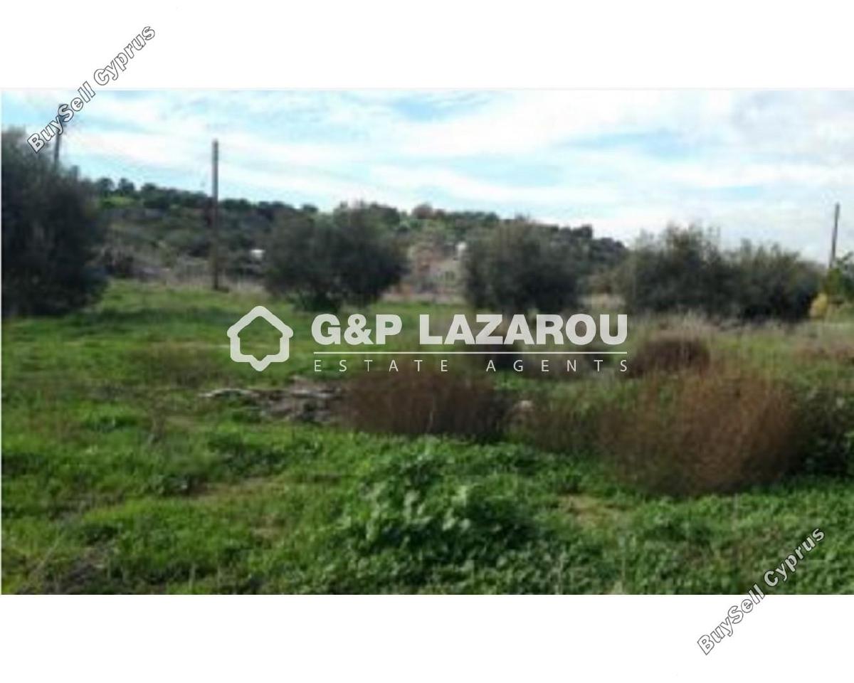 plot for sale mazotos larnaca 1689385 image 6021015