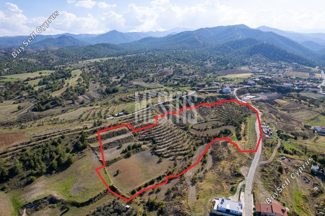 plot for sale nikitari nicosia 976385 image 10488732