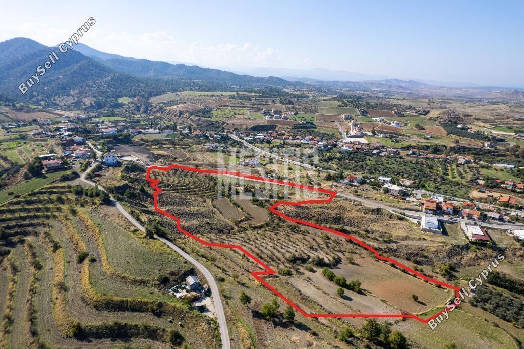 plot for sale nikitari nicosia 976385 image 10488733