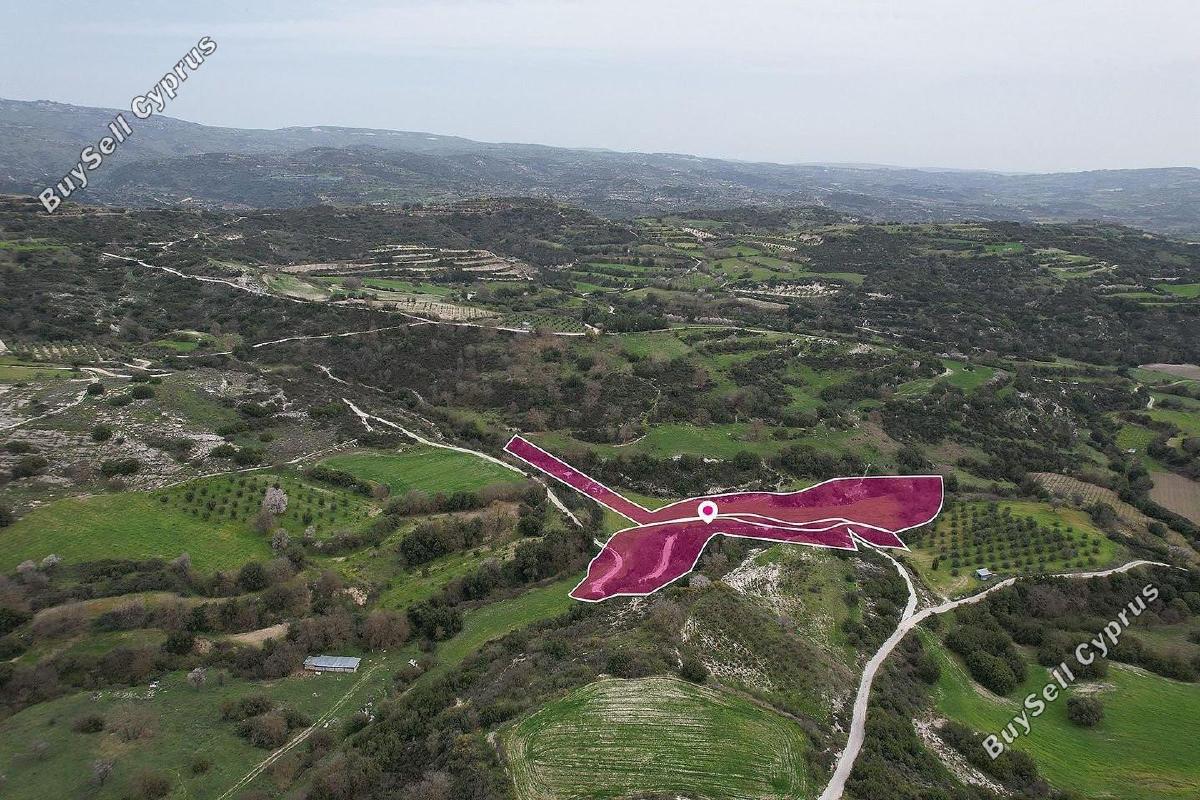 land for sale psathi paphos 1897485 image 14205875
