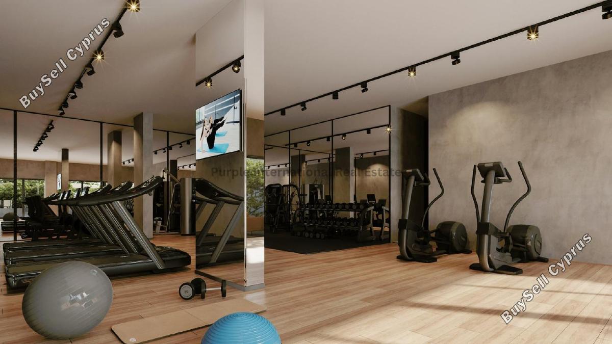 1 bedroom apartment for sale paphos municipality paphos 8785585 image 16655369