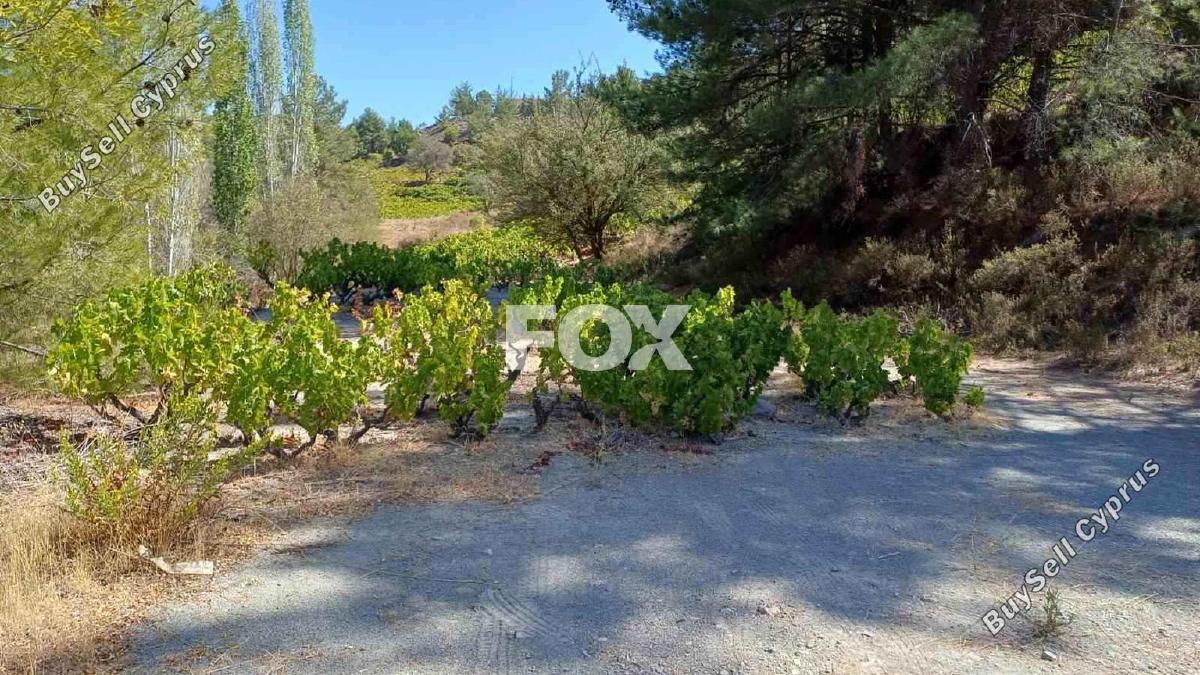 12041 SQM Land for sale in Agridia, Limassol 10654694