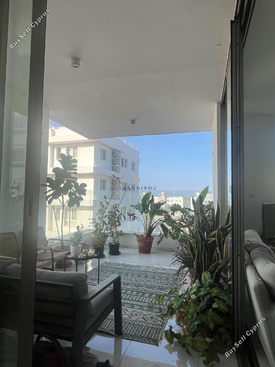 2 bedroom apartment for rent mackenzie larnaca 8931585 image 17616704