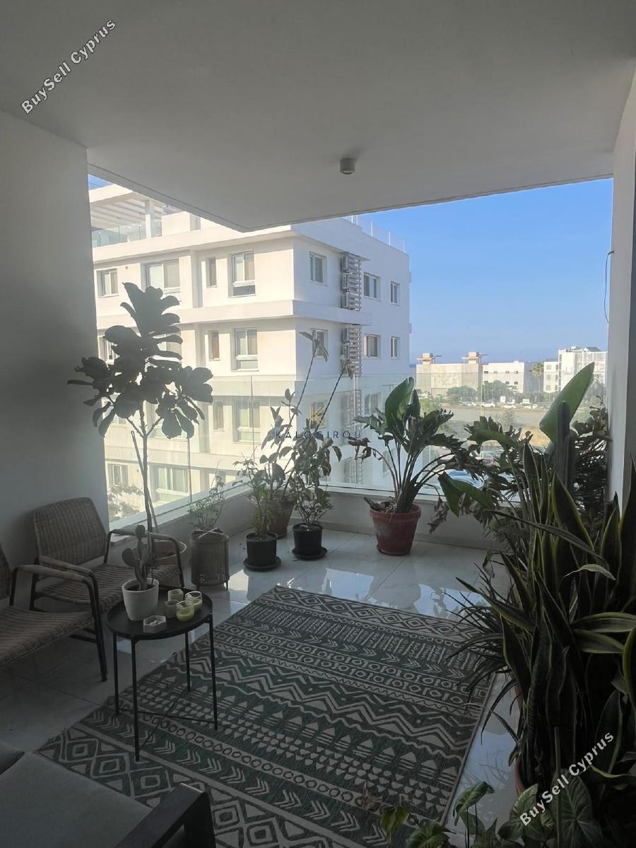 2 bedroom apartment for rent mackenzie larnaca 8931585 image 17616710
