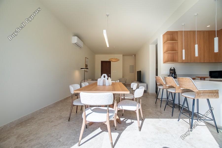 3 bedroom semi detached house for rent emba paphos 8791585 image 16679762