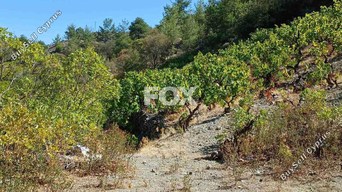 land for sale agridia limassol 7816585 image 10654692