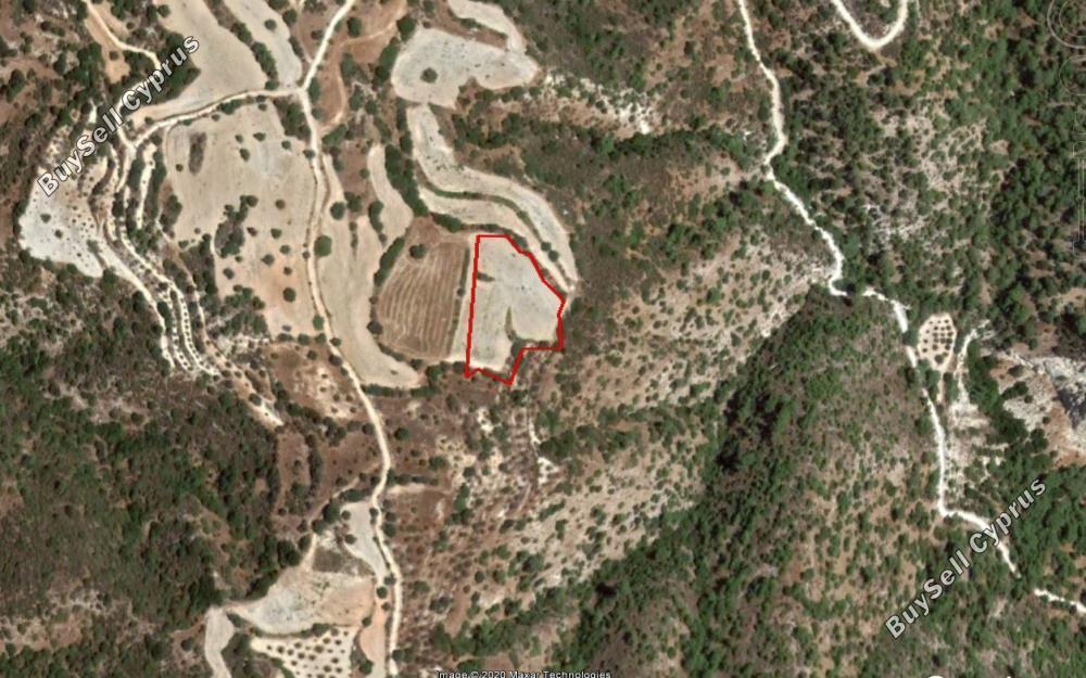 land for sale amargeti paphos 828585 image 15179189