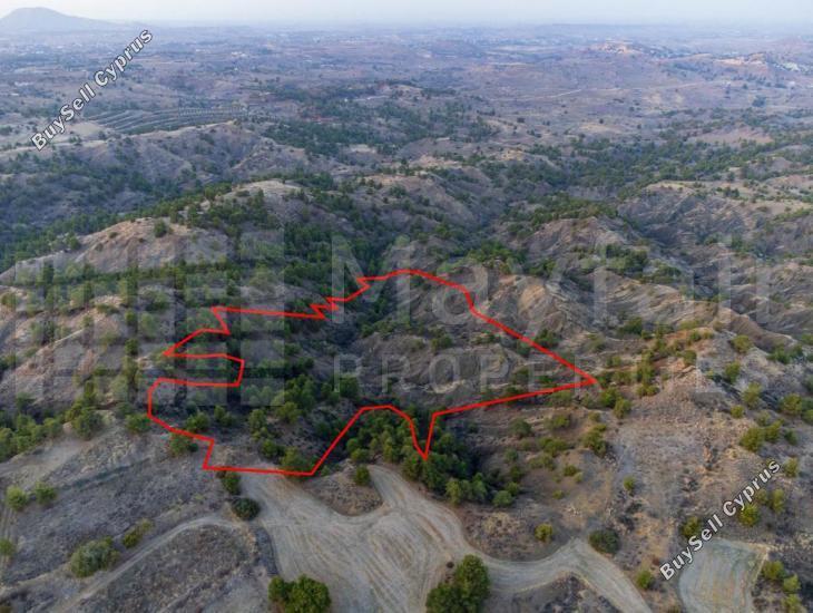 plot for sale filani nicosia 7871585 image 11381608