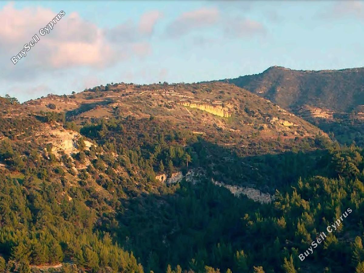 9031 SQM Land for sale in Dora, Limassol 16333340