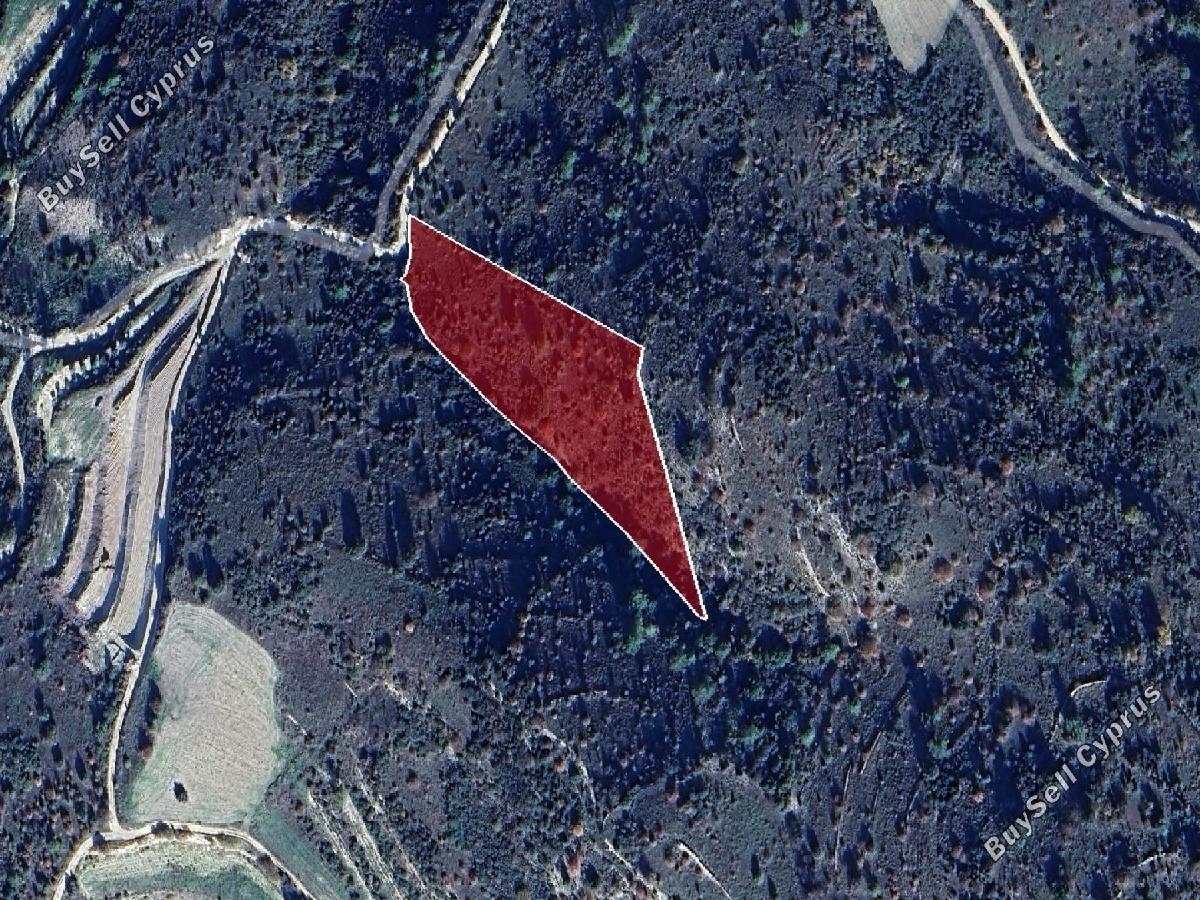 land for sale dora limassol 8726685 image 16333339
