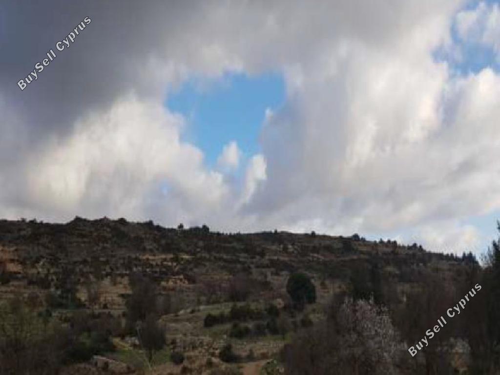 land for sale pachna limassol 8785685 image 16656311