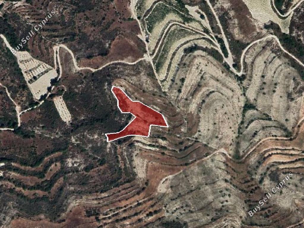 land for sale pachna limassol 954685 image 15603369