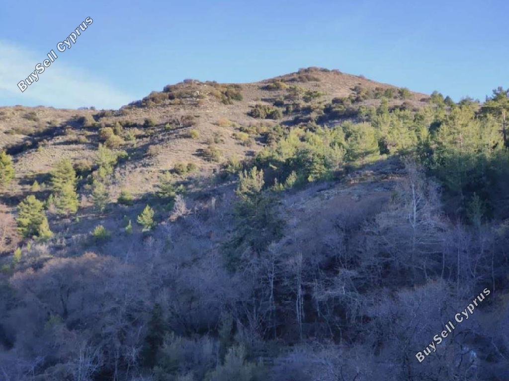 land for sale pedoulas nicosia 945685 image 15603256