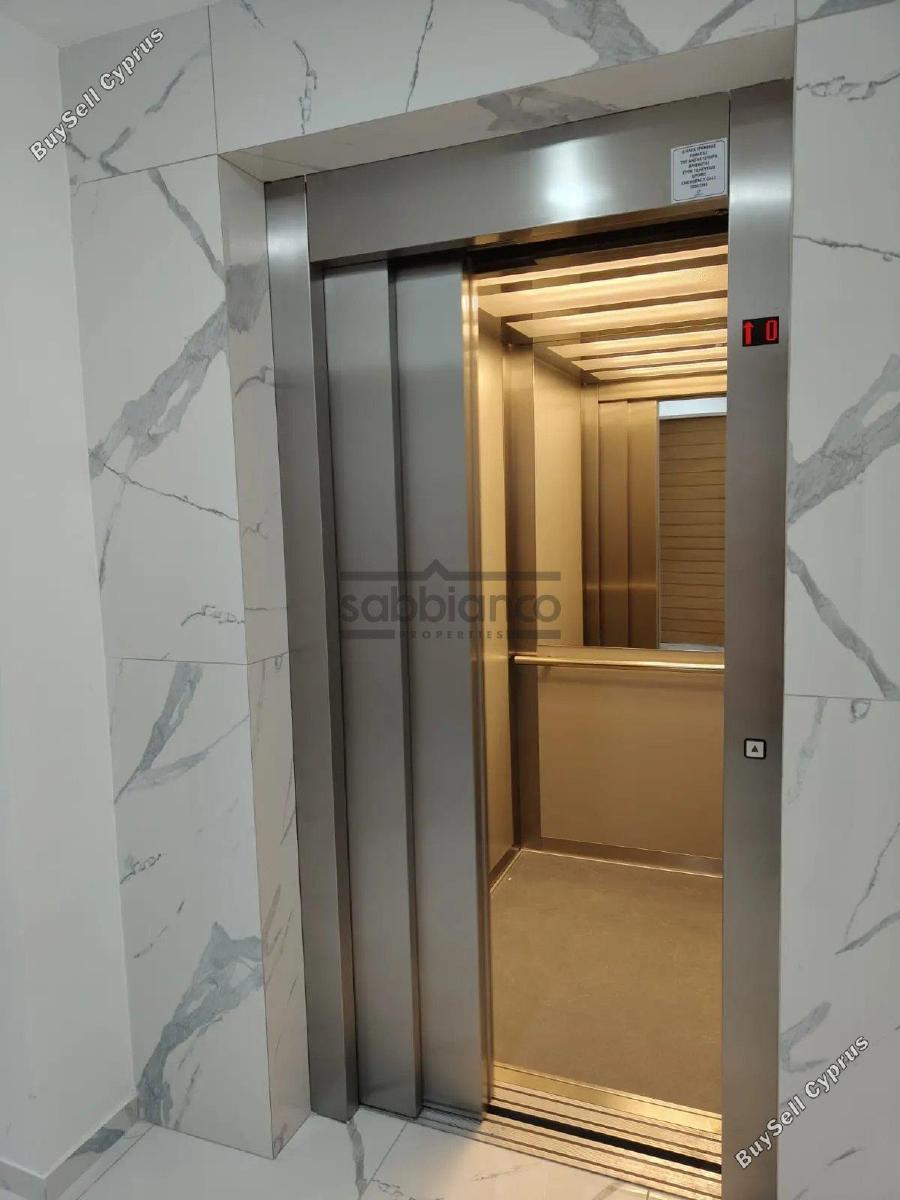 2 bedroom apartment for rent livadia larnacas larnaca 8738785 image 16364177