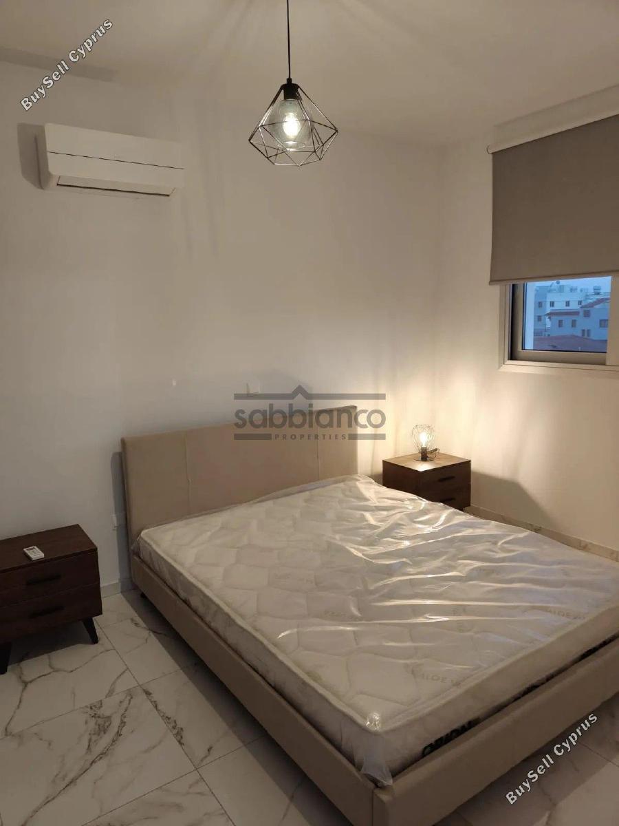 2 bedroom apartment for rent livadia larnacas larnaca 8738785 image 16364186