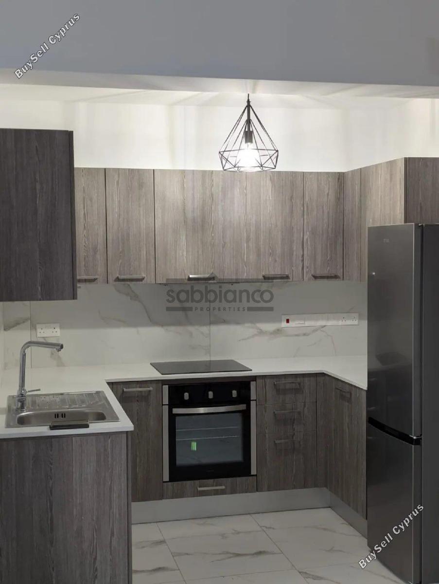 2 bedroom apartment for rent livadia larnacas larnaca 8738785 image 16364196