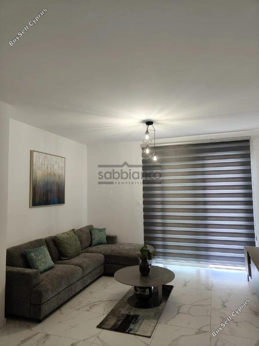 2 bedroom apartment for rent livadia larnacas larnaca 8738785 image 16364202