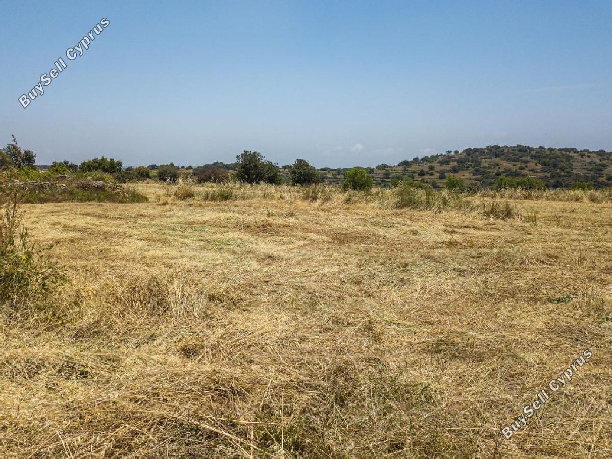 land for sale pachna limassol 8797785 image 16704419
