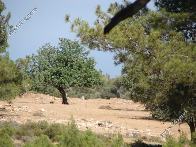 land for sale souni zanakia limassol 7738785 image 10207110