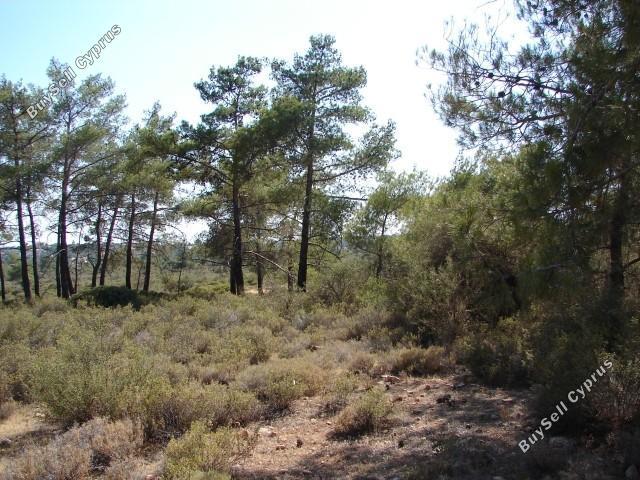 land for sale souni zanakia limassol 7738785 image 10207111