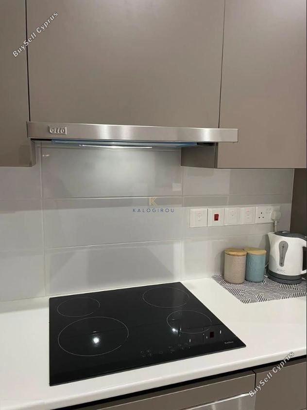 1 bedroom apartment for rent larnaca municipality larnaca 1732985 image 5724336