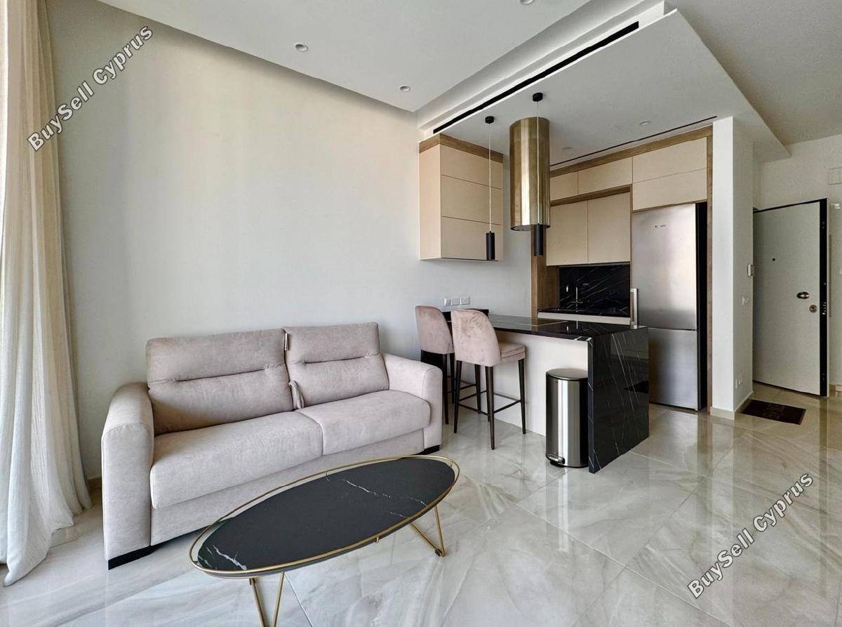 1 bedroom apartment off market rental potamos germasogeias limassol 8670985 image 16455061