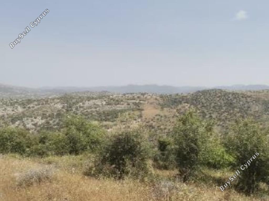 8027 SQM Land for sale in Choulou, Paphos 15598067