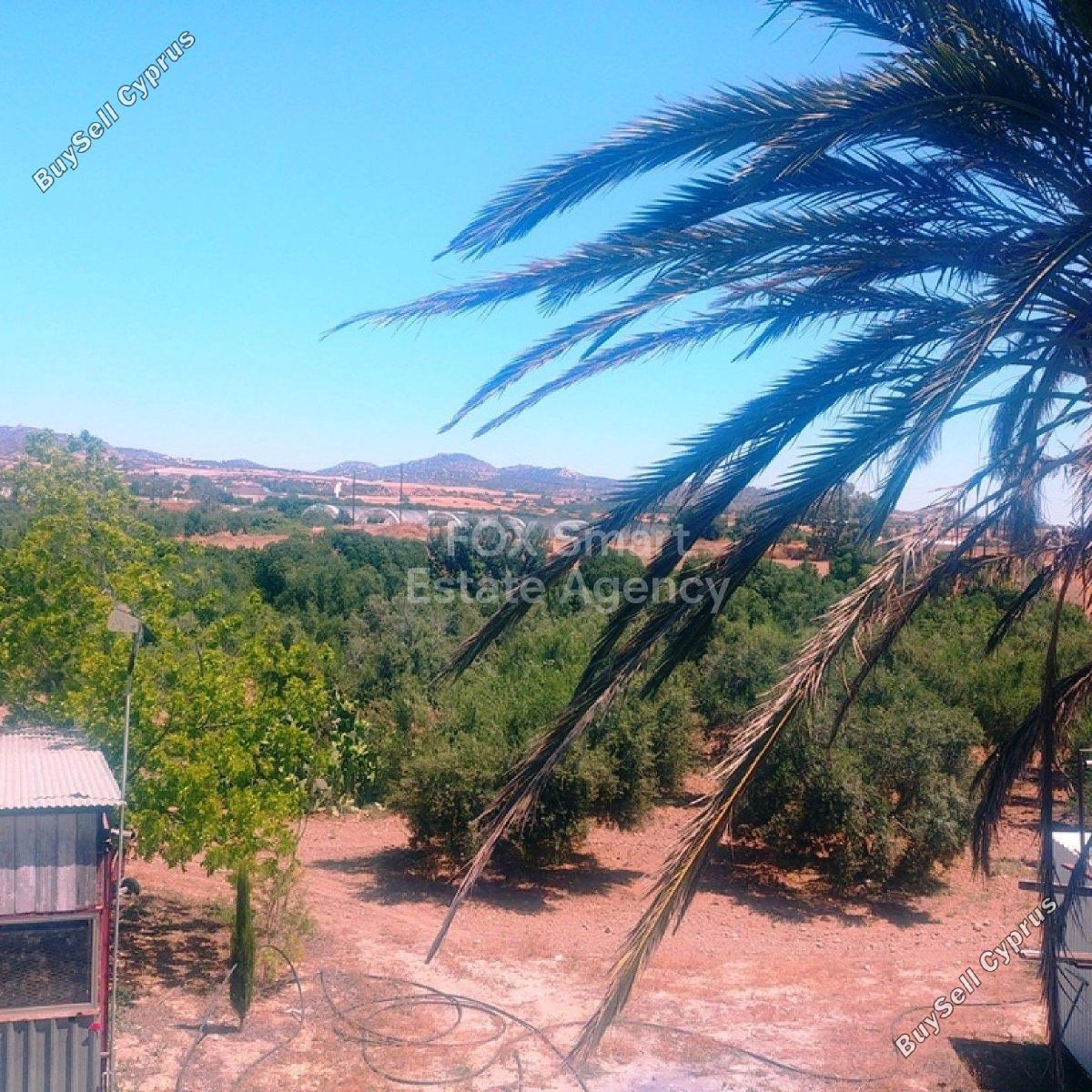 3 bedroom detached house for sale maroni larnaca 1148985 image 5742343