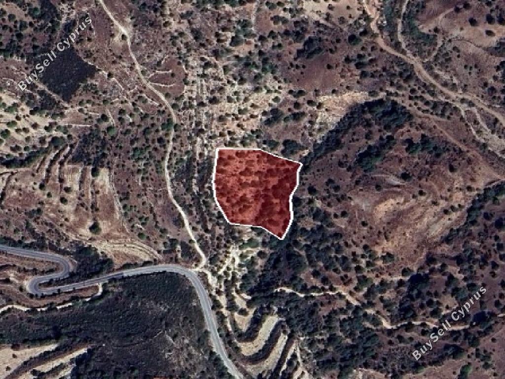 land for sale choulou paphos 1594985 image 15598066