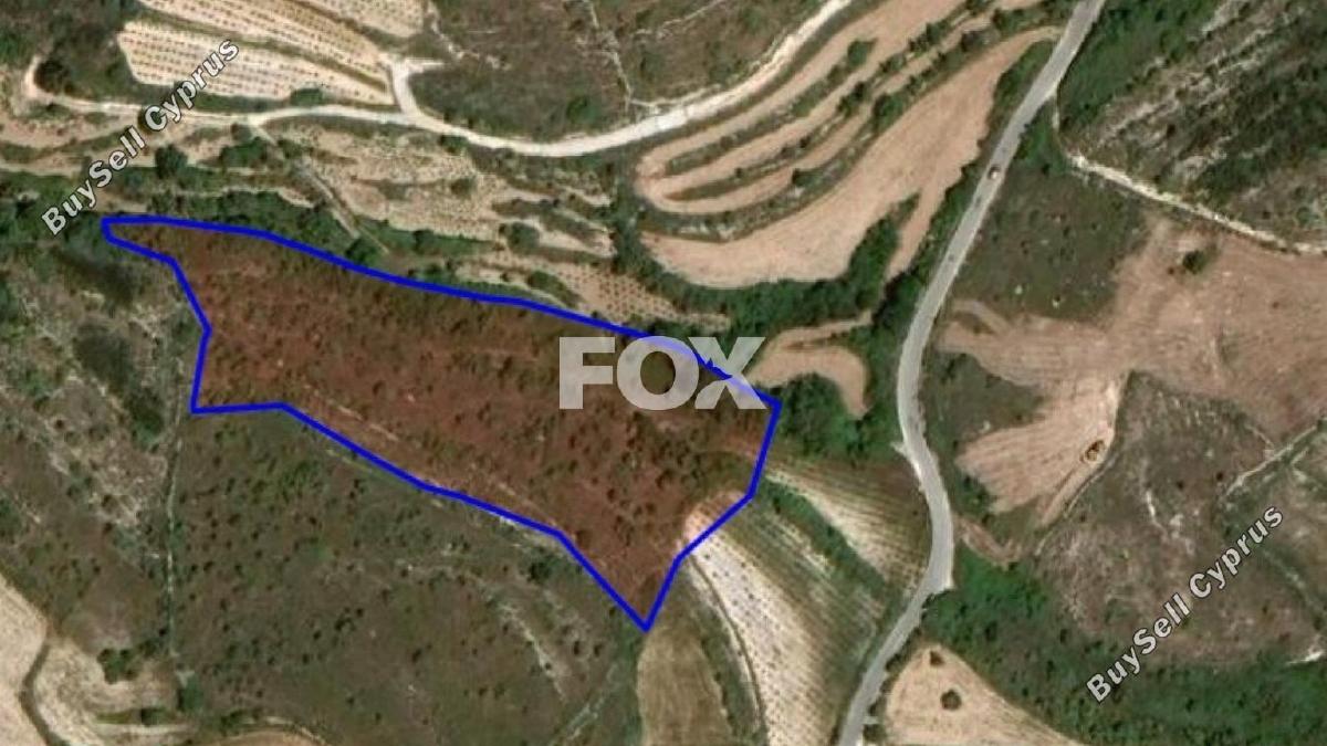 land for sale kathikas paphos 1160985 image 14827554