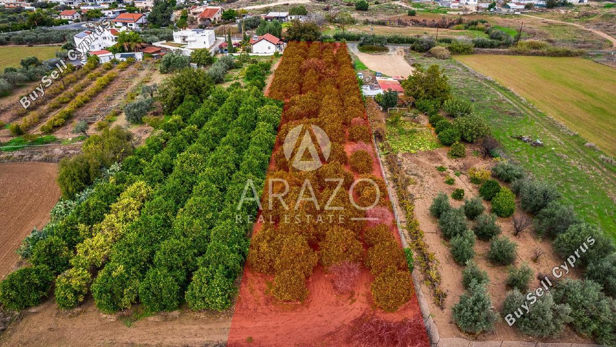 land for sale kolossi limassol 7978985 image 14027085