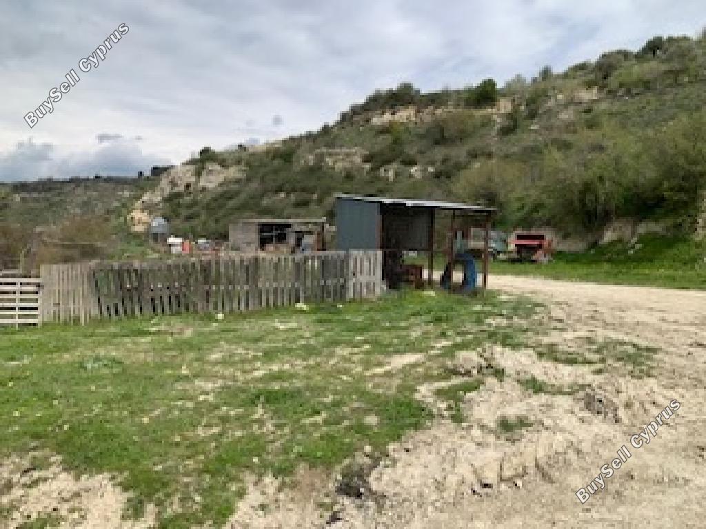 land off market drynia paphos 8664985 image 17011147