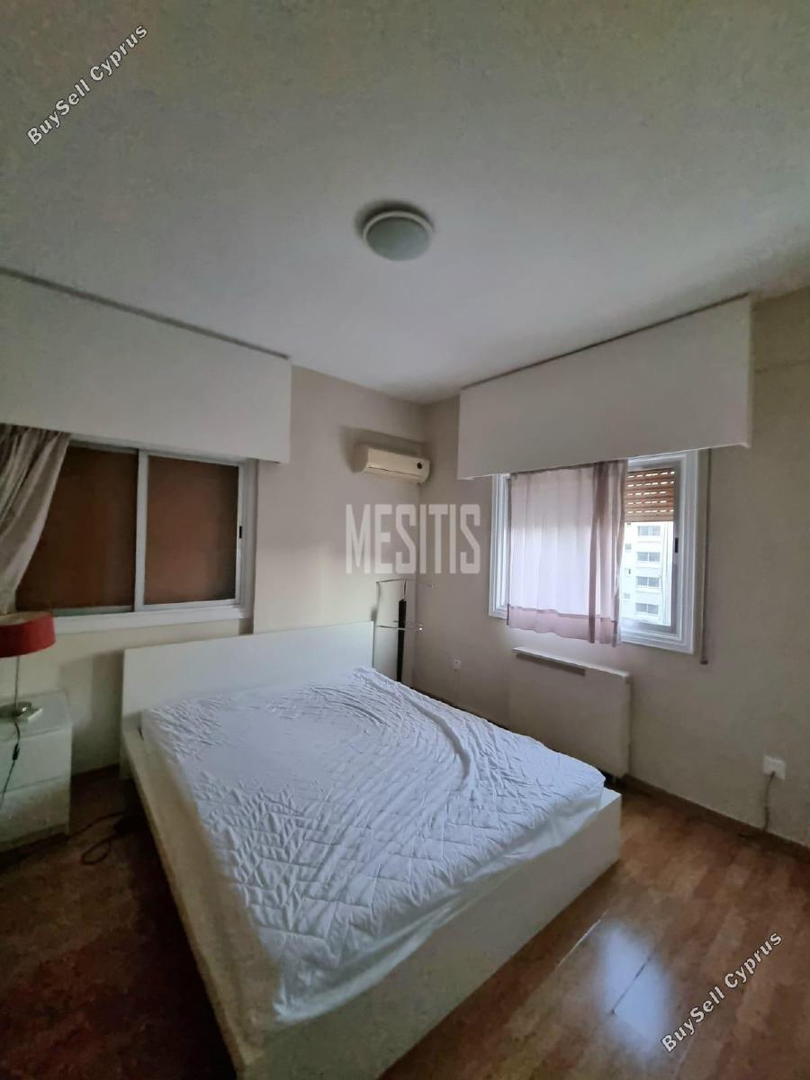 1 bedroom apartment for rent acropolis nicosia 1702095 image 16724501