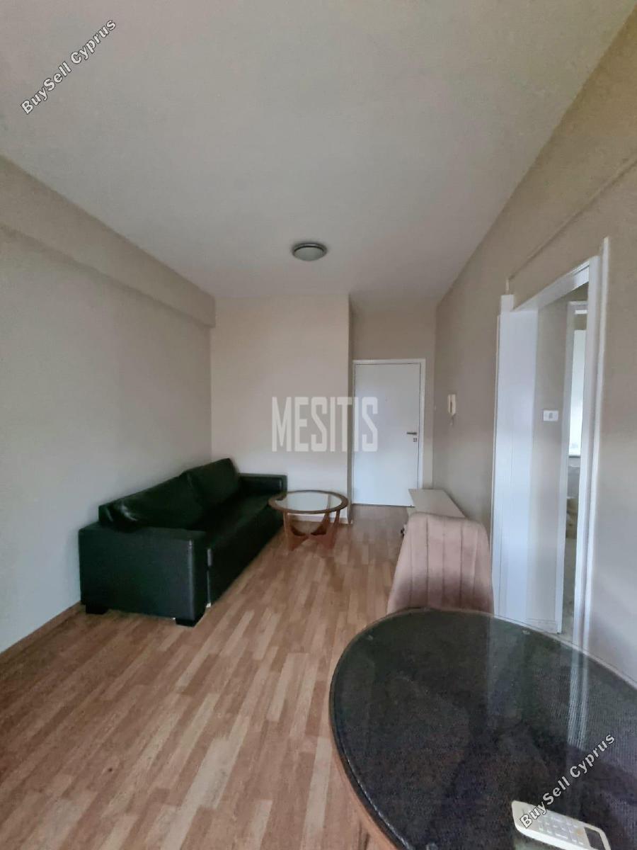 1 bedroom apartment for rent acropolis nicosia 1702095 image 16724511