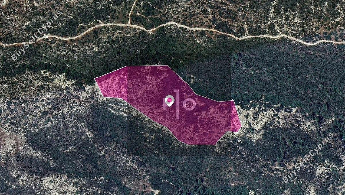 45820 SQM Land for sale in Platanisteia, Limassol 15157474