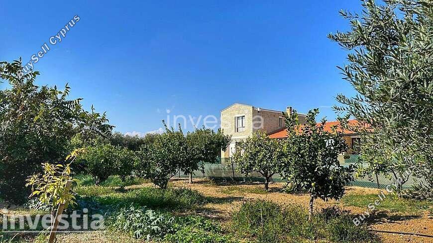 3 bedroom detached house for sale maroni larnaca 8772095 image 16593888