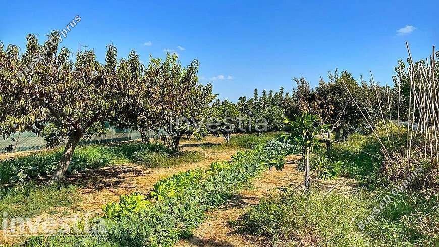 3 bedroom detached house for sale maroni larnaca 8772095 image 16593890