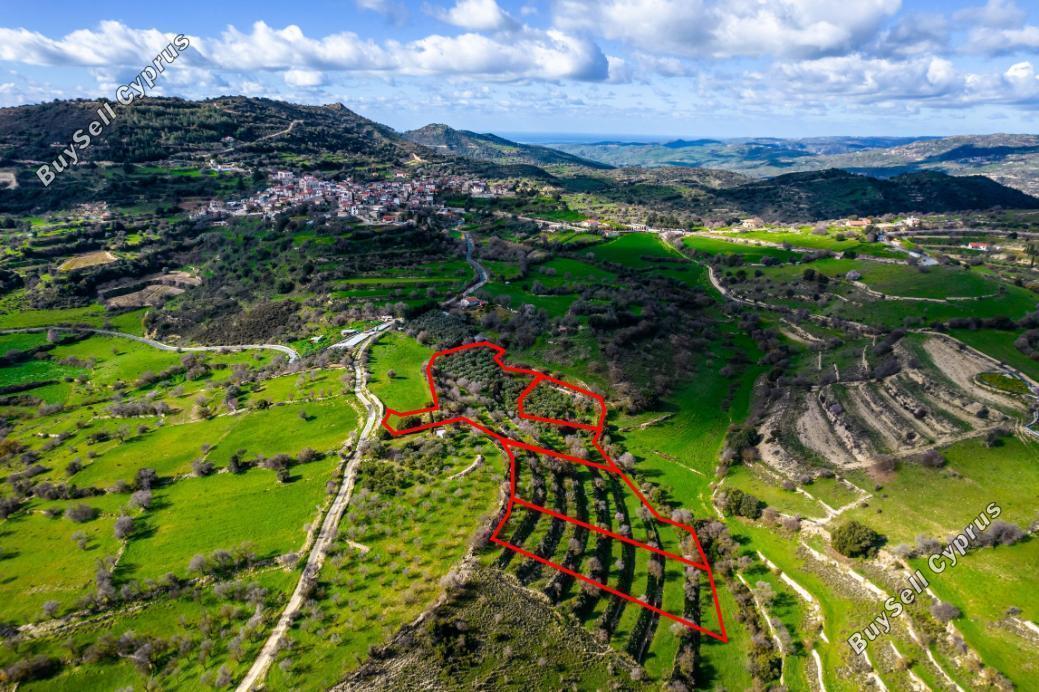 land for sale dora limassol 853095 image 13353575