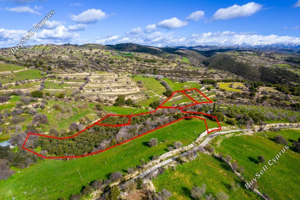 land for sale dora limassol 853095 image 13353576