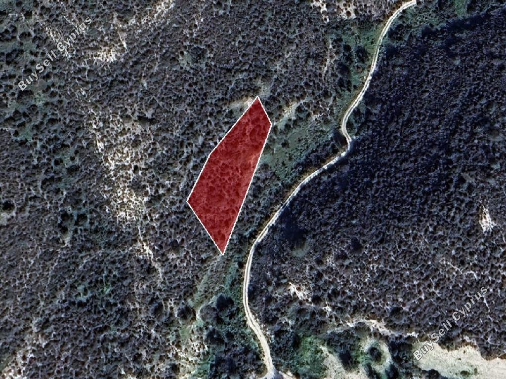 land for sale tochni larnaca 8209095 image 15867456