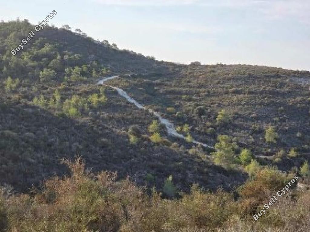 land for sale tochni larnaca 8209095 image 15867457
