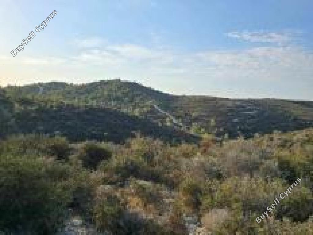 land for sale tochni larnaca 8209095 image 15867458