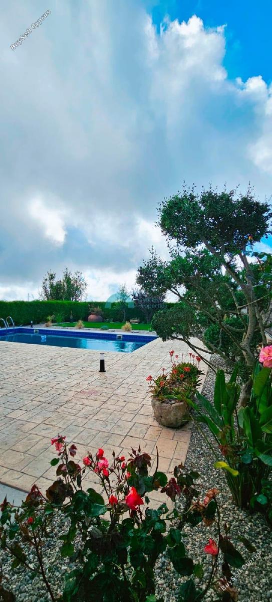 3 bedroom detached house for rent kato akourdalia paphos 8723195 image 16391725