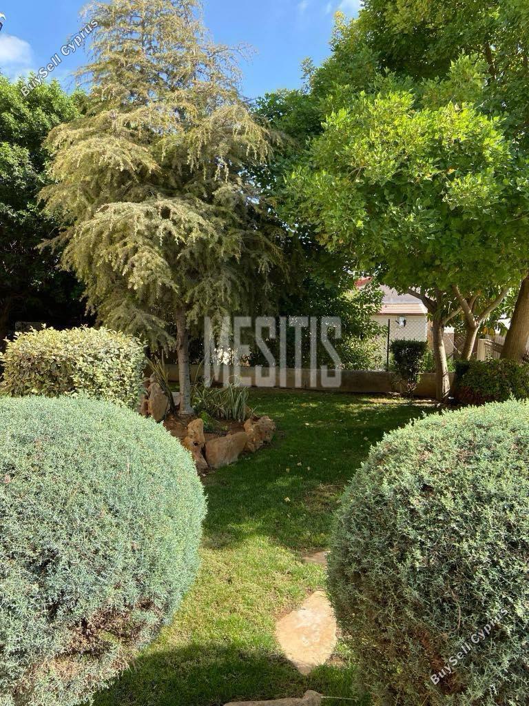 3 bedroom detached house for rent ypsonas limassol 1815195 image 14918648