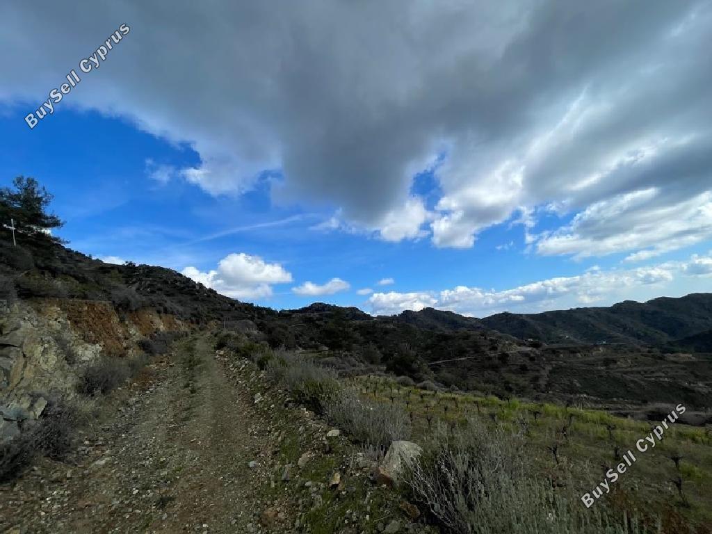 land for sale agioi vavatsinias larnaca 1674195 image 4323818