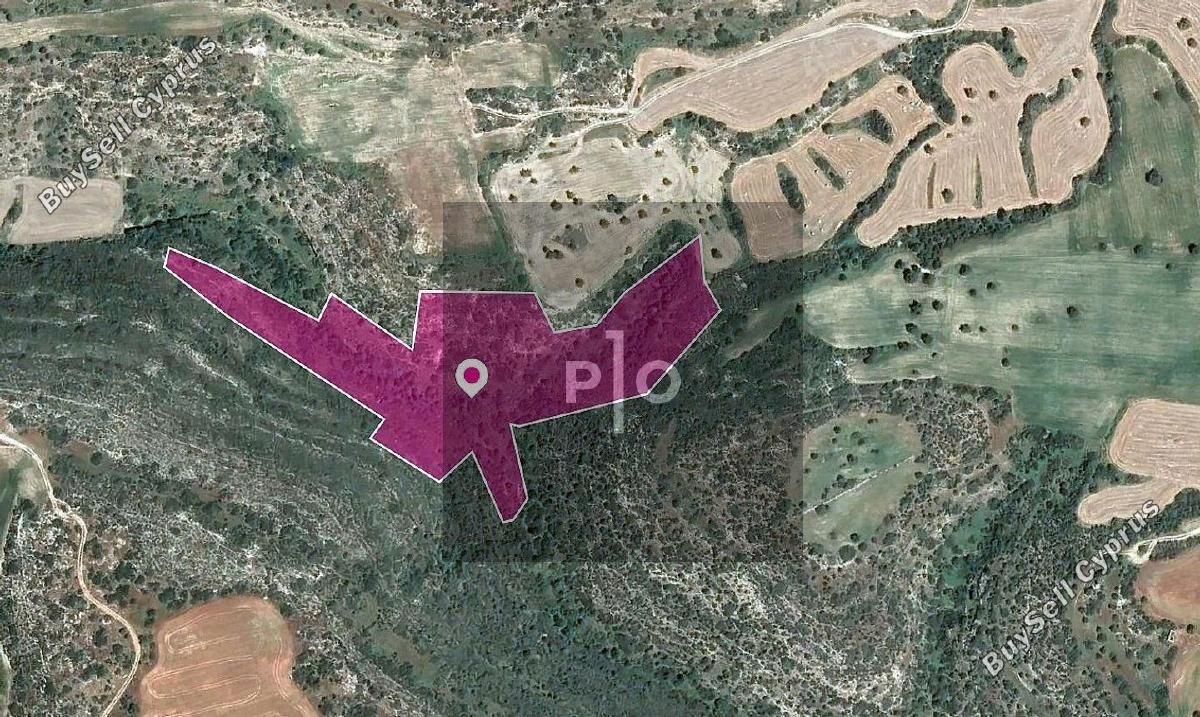 land for sale agios theodoros larnacas larnaca 8275195 image 15740712