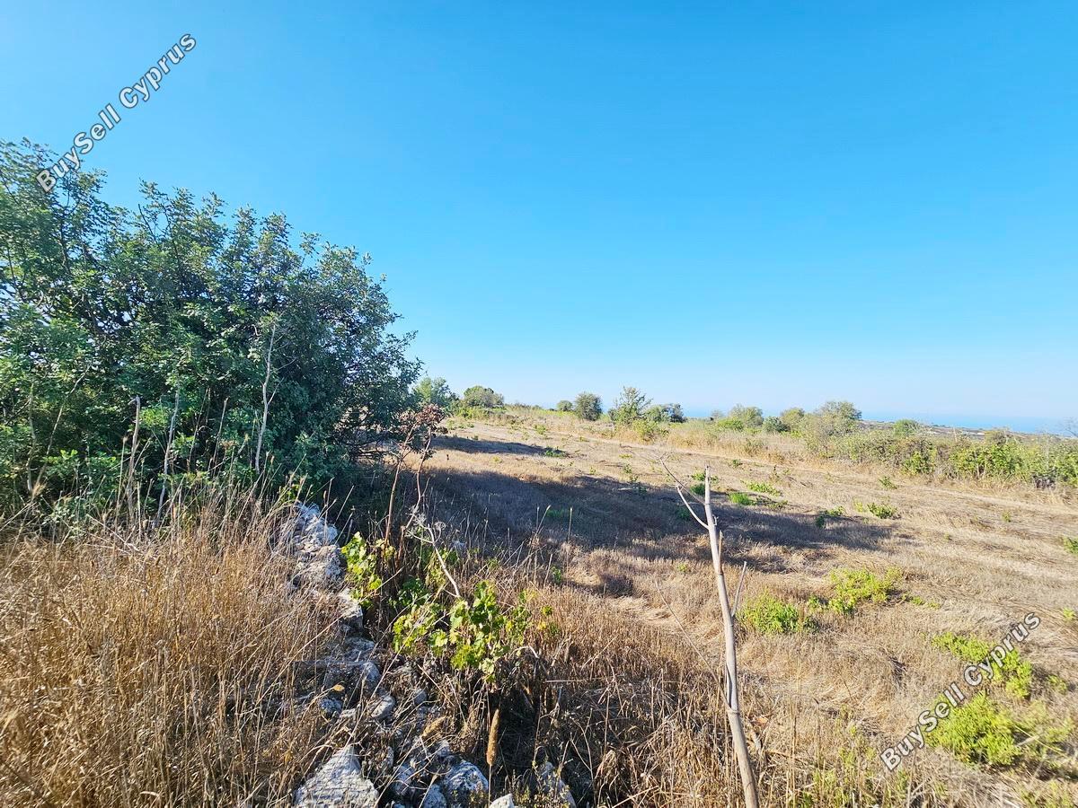 land for sale kathikas paphos 7502195 image 9350364