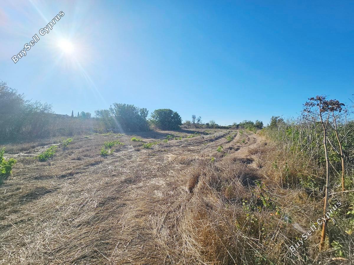 land for sale kathikas paphos 7502195 image 9350366