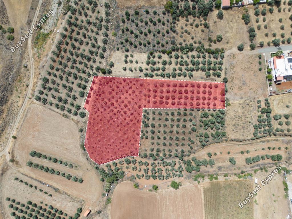 5426 SQM Land for sale in Potami, Nicosia 15907461
